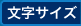文字サイズ