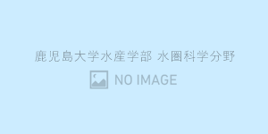 流れ藻ウェブ・浮魚類漁業支援ツール・赤潮監視支援ツール休止のお知らせ
