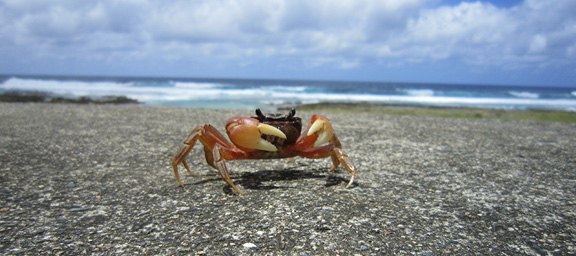 pic03