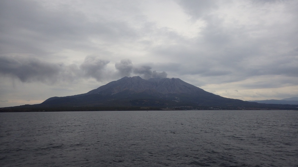 ようこそ鹿児島大学水産学部 水圏科学分野 | 錦江湾の魚