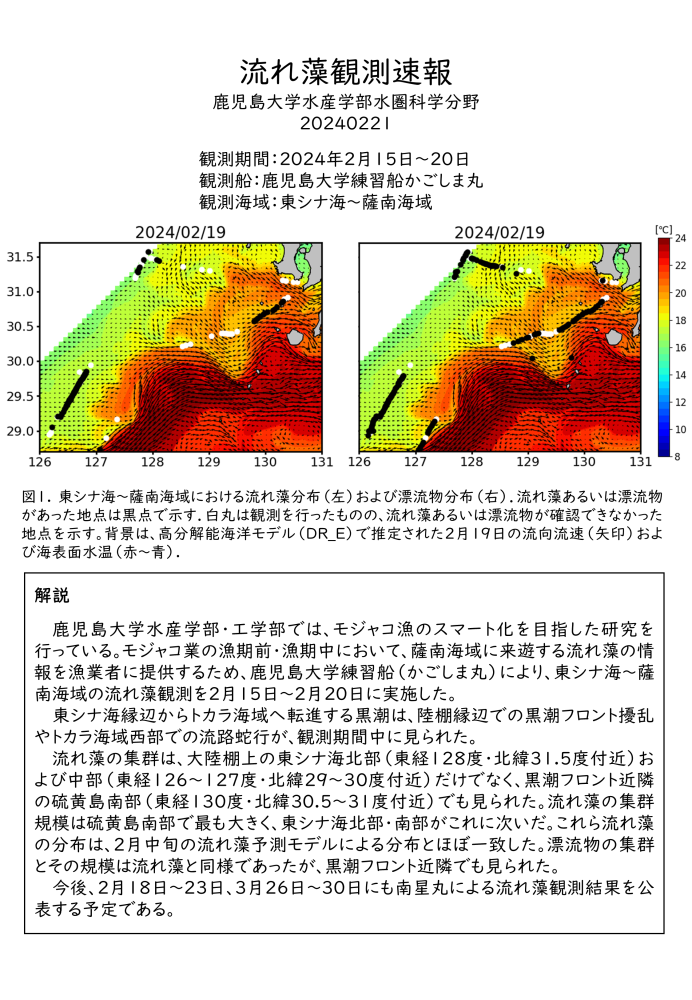 流れ藻観測速報R6_001（かごしま丸）