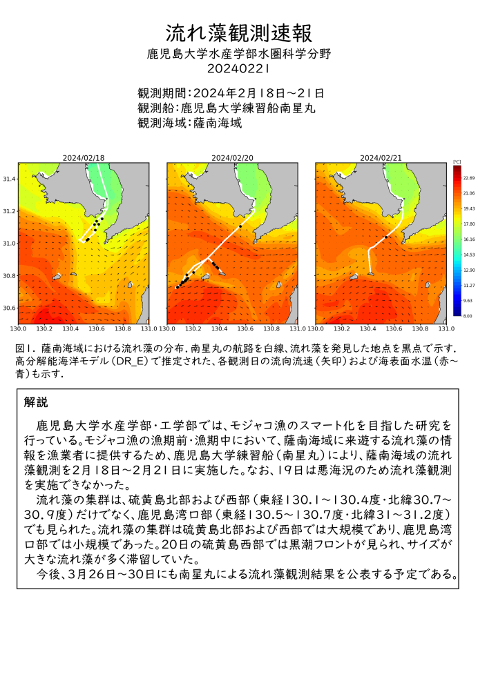 流れ藻観測速報R6_002（南星丸）