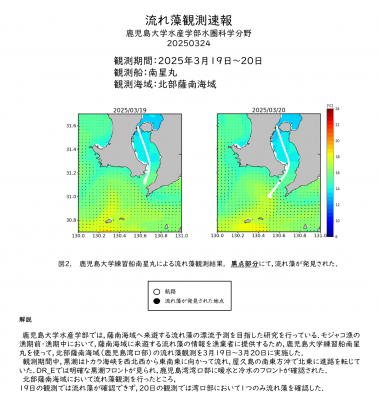 流れ藻観測速報R7_005（南星丸）