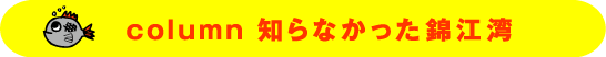 コラム　知らなかった錦江湾