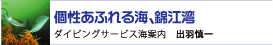 個性あふれる海、錦江湾　ダイビングサービス海案内　出羽慎一