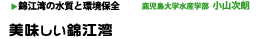 美味しい錦江湾