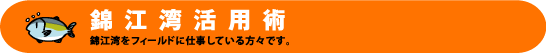 錦江湾活用術
