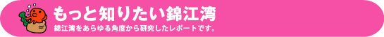 もっと知りたい錦江湾