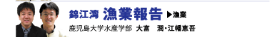 錦江湾 漁業報告　漁業