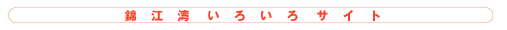 錦江湾いろいろサイト