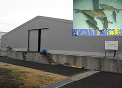 錦江湾ステーション