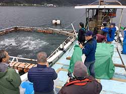 鹿児島県内の養殖場視察の様子