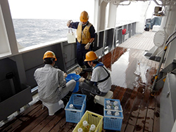 かごしま丸が東京海洋大学と愛媛大学の学生を対象とした共同利用乗船実習を実施しました