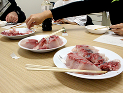 垂水市漁協の養殖カンパチ試食会を開催しました