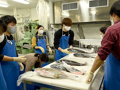 水産物利用加工の実証研究