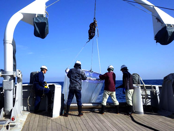 小型浮魚類の産卵及び成育場としての北部薩南海域の重要性