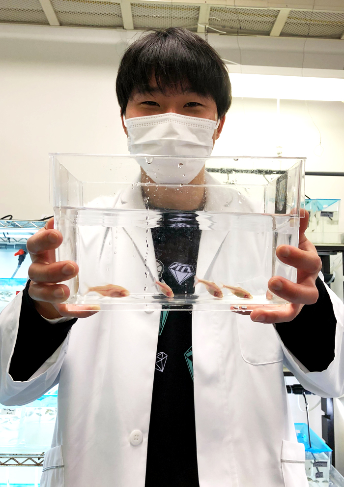 食品生命科学分野　大学院生　兵頭駿希