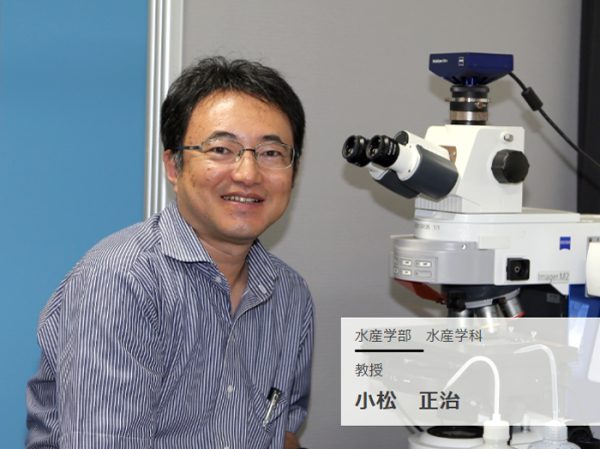 水生生物がもつ毒と薬　教授 小松正治