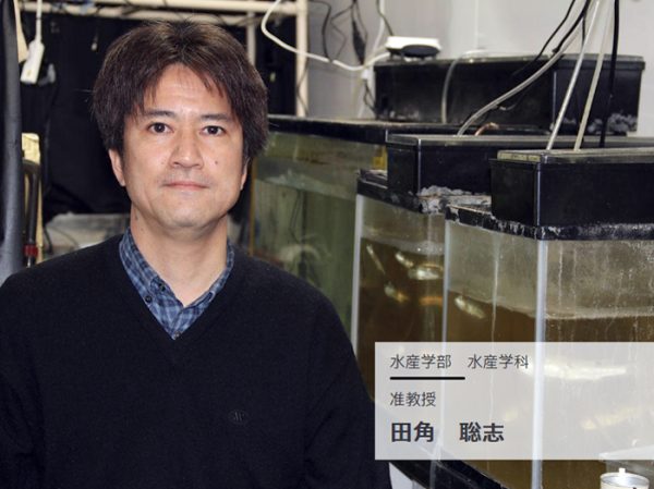 どのようにして魚介類の寄生虫は宿主を認識するのだろうか？―その仕組みを明らかにすることで寄生虫に強い魚を作ることを目指す　准教授 田角聡志